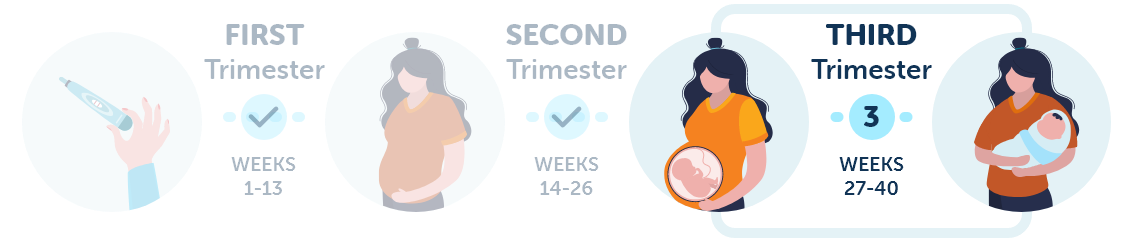 Third trimester of pregnancy