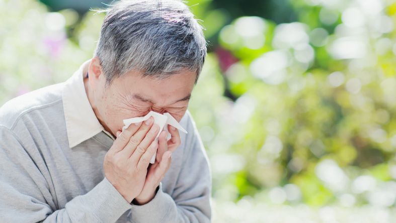 Борьба с аллергией: советы, как избежать пыльцы, плесени и пыли